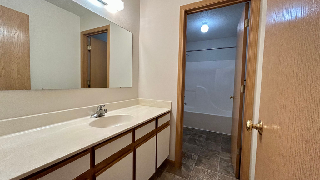 a bathroom with a sink and a shower and a mirror