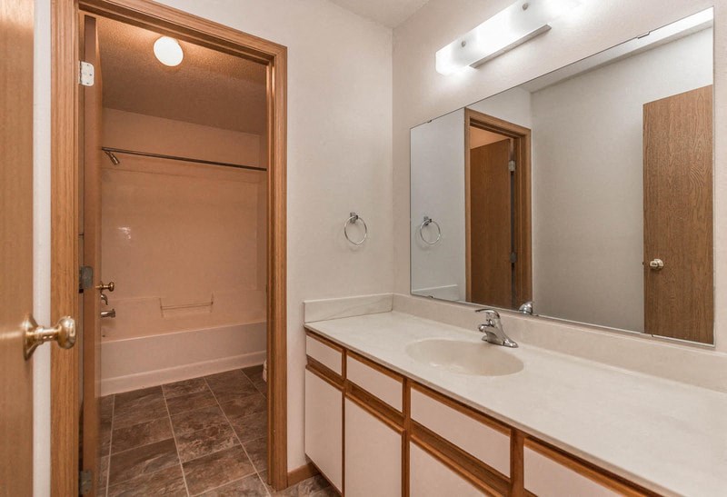 a bathroom with a sink and a mirror and a shower