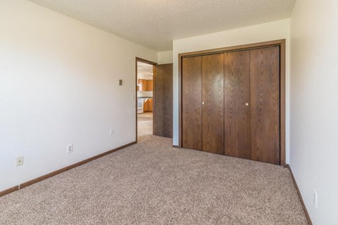 an empty bedroom with a closet and a carpeted floor