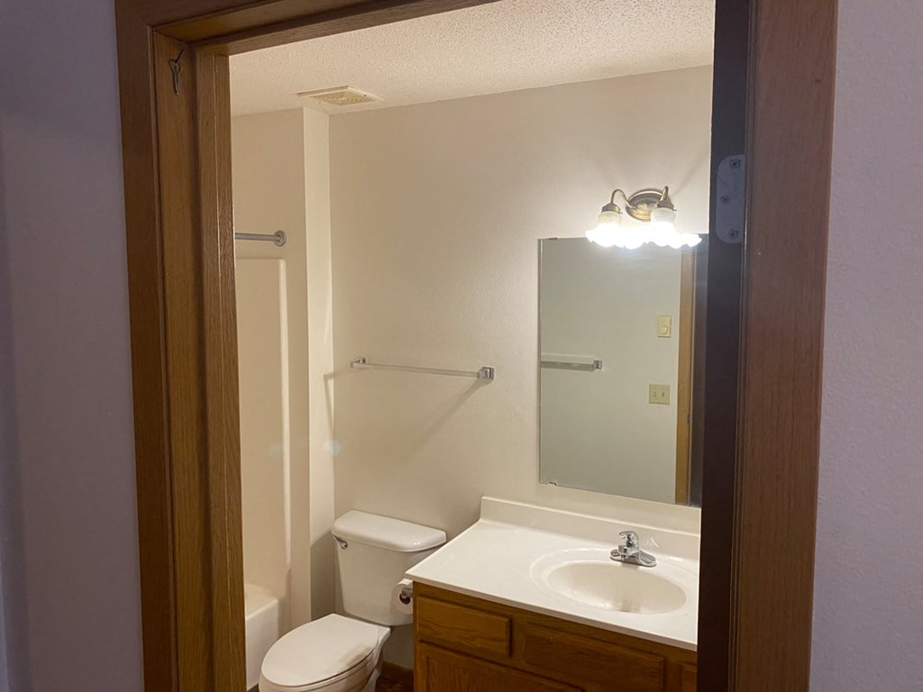 a bathroom with a sink toilet and a mirror