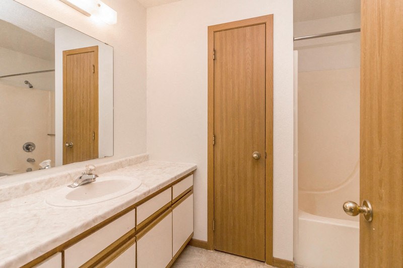 a bathroom with a sink and a mirror and a shower