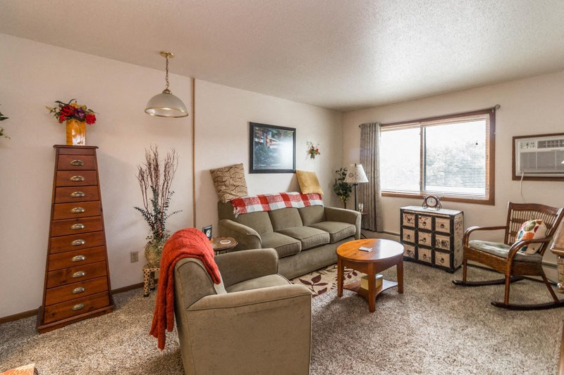 a living room with a couch and a chair and a dresser