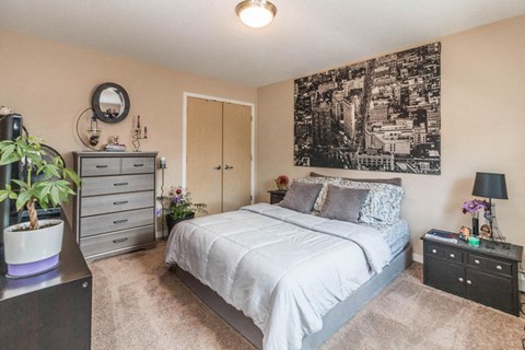 a bedroom with a bed and a dresser