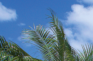 Reserve At Port St Lucie Apartments In Port St Lucie Fl