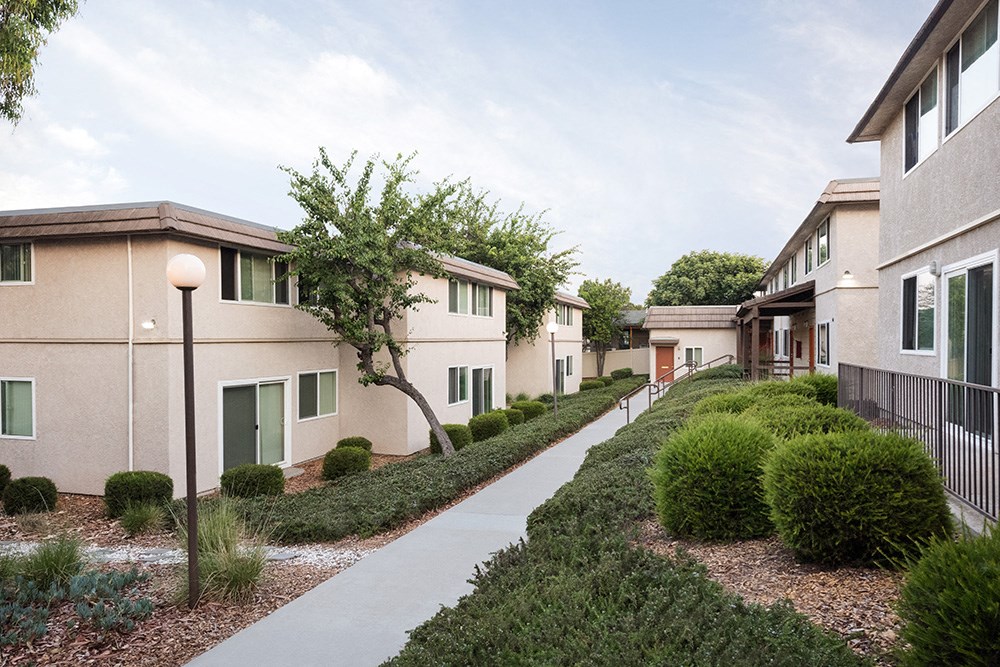 a row of apartment buildings with a sidewalk and landscaping