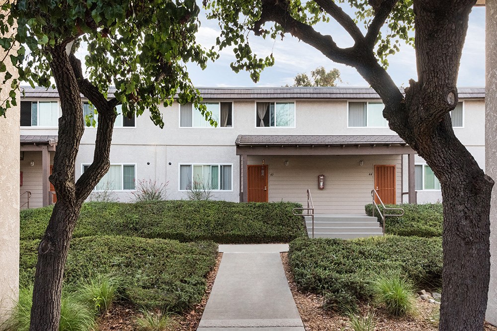 a sidewalk in front of a white building with trees and bushes