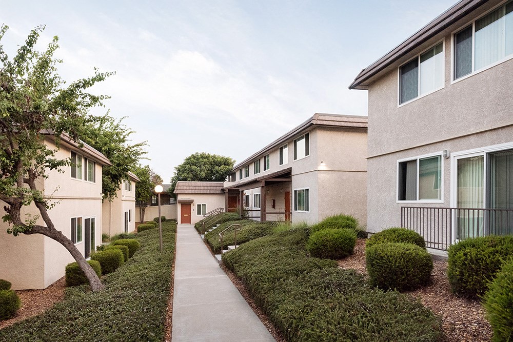 a row of town homes with a sidewalk and hedges
