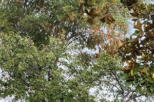 Delta Manor Apartments 4245 Delta St San Diego Ca Rentcafe