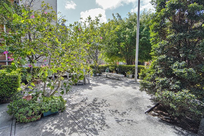 a courtyard with plants and trees and a pole