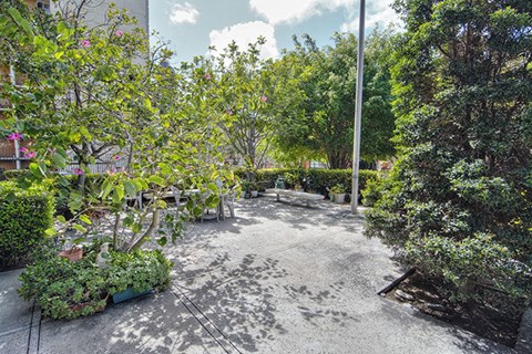 a courtyard with plants and trees and a pole
