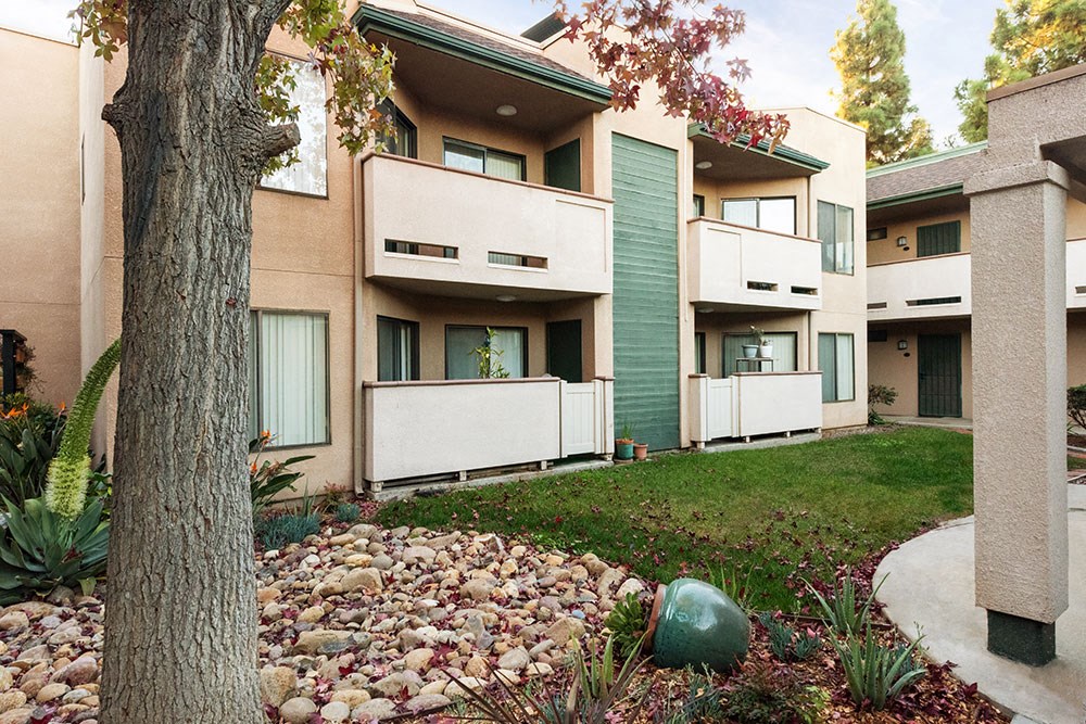 a yard with a tree in front of an apartment building