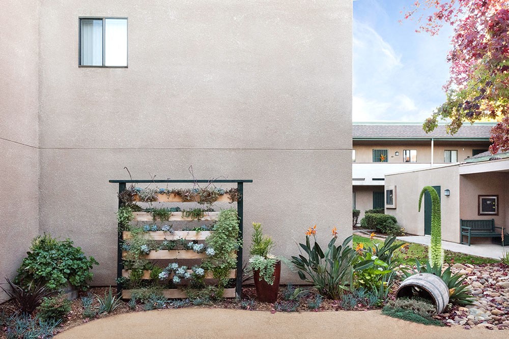 a garden with succulent plants in front of a building