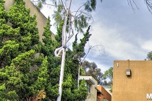 10210 San Diego Mission Rd 1-3 Beds Apartment, Affordable for Rent - Photo Gallery
