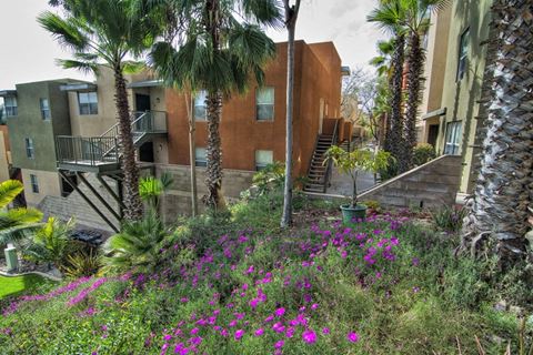 a garden with palm trees and purple flowers in front of buildings