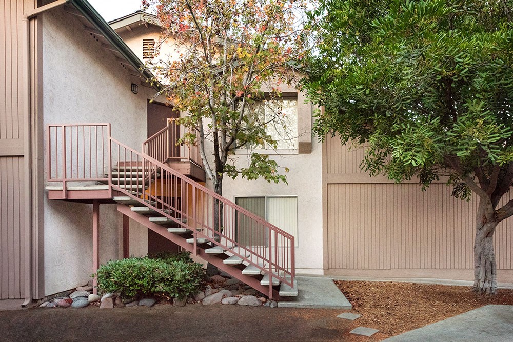 a staircase in front of a building with a tree
