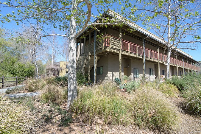 a house in the middle of the woods