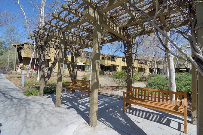 two benches under a wooden structure in a park