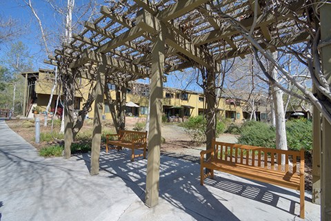 two benches under a wooden structure in a park