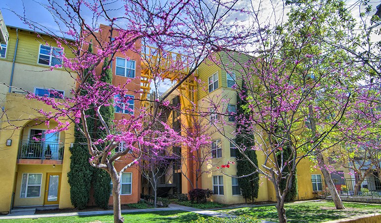a row of apartments with flowering trees in front of them