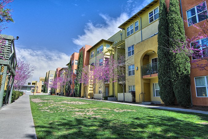 a row of apartment buildings with green grass and flowering trees