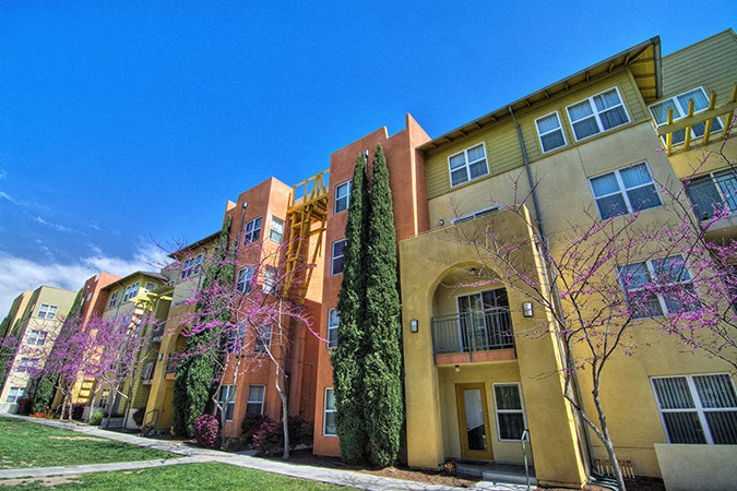 a row of apartment buildings with trees in front of them