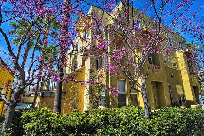 a large yellow building with trees in front of it