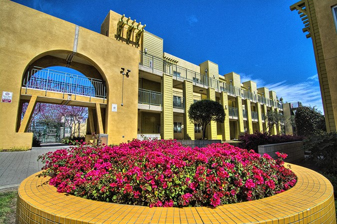 a large flower garden in front of a building