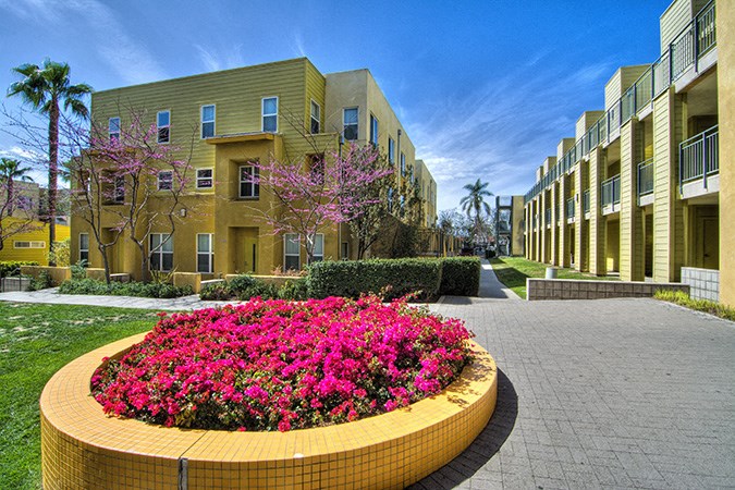 a round yellow planter with pink flowers in front of an apartment building