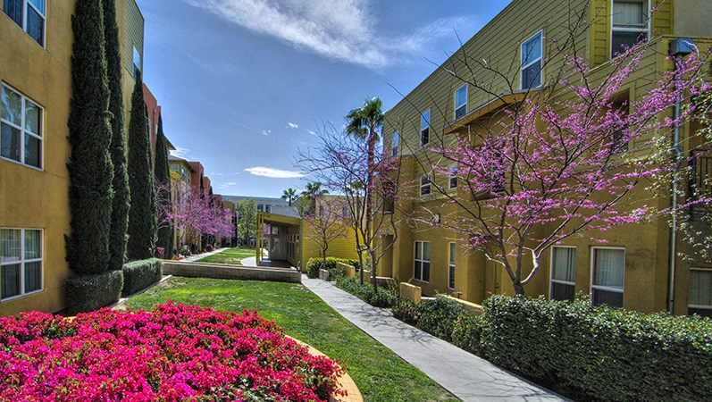 a sidewalk in front of apartments with flowers and trees