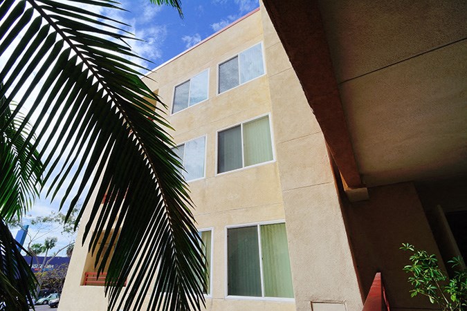 a building with a palm tree in front of it