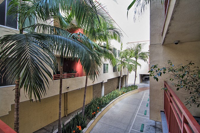 a street with palm trees next to a building
