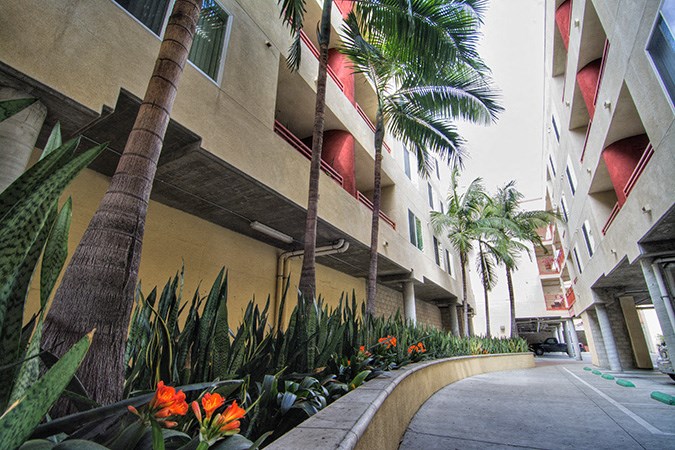 a sidewalk in front of a building with palm trees