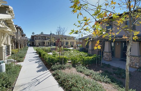 a city street with houses and trees and a sidewalk