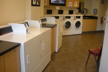 AlderHouse_Amentity_Washroom