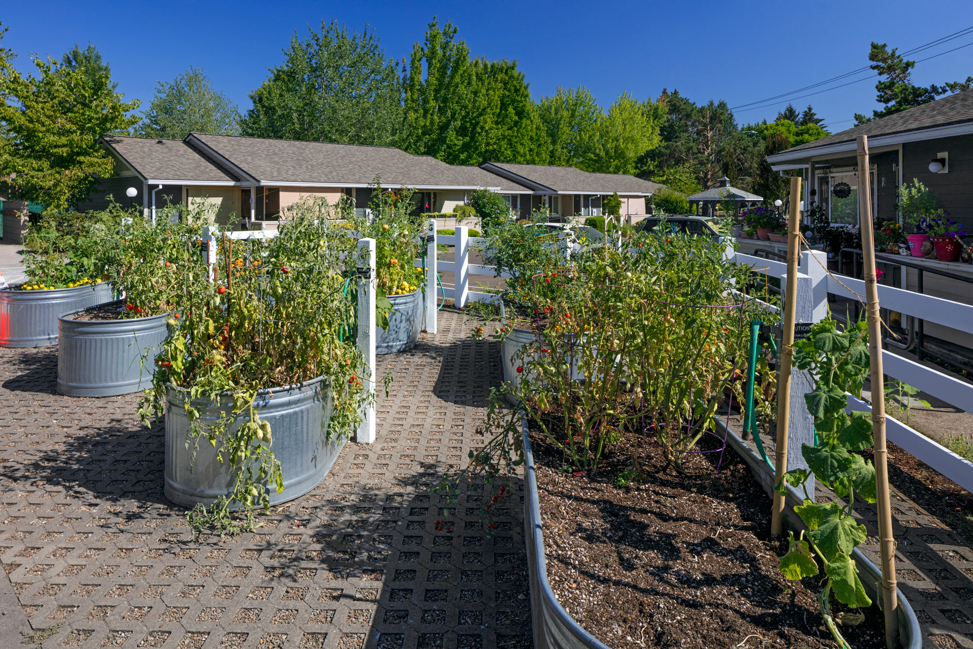 Stewart Terrace Senior Apartments Apartments in Sherwood, OR