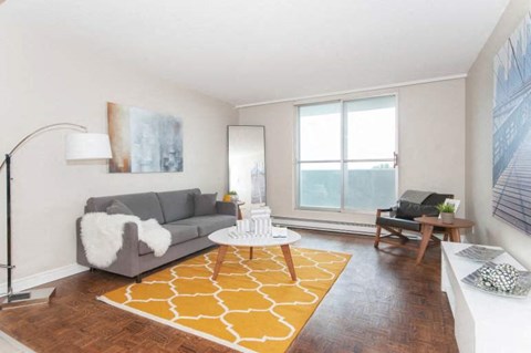 A living room with a grey couch and a yellow rug.