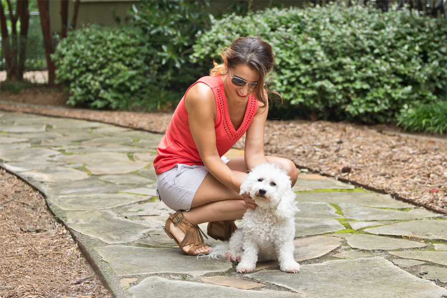 2700 Charlotte Pet Friendly Community Nashville TN - Charlotte Corridor