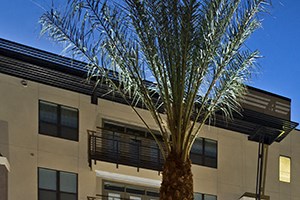 Fountain Citrine apartments - Phoenix, AZ - fountain - Photo Gallery 3