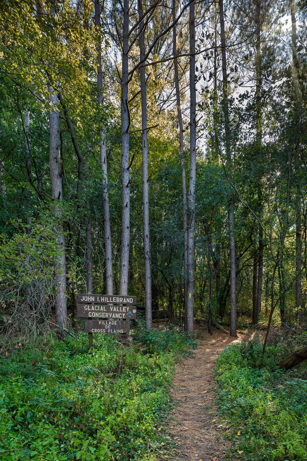 a trail through the woods with a sign