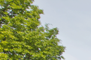 Dogwood Glen Apartments In Indianapolis IN Dogwood glen apartments in indianapolis in