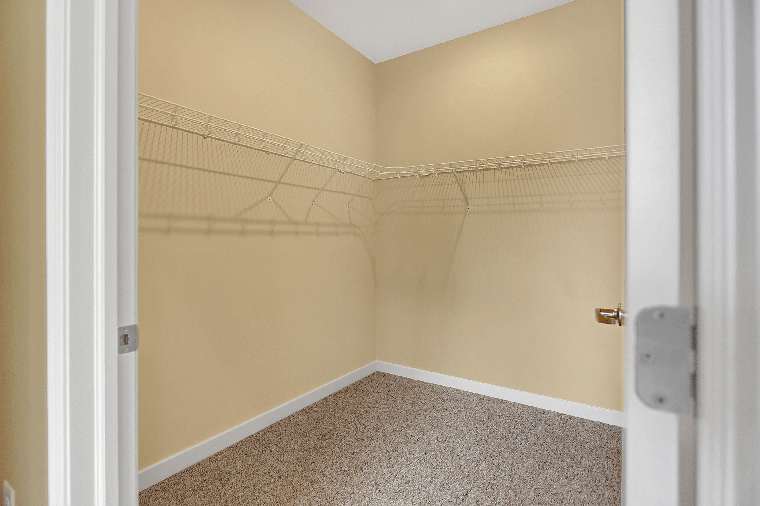 an empty room with a shower in the corner