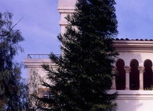 Isola Bella Isola Bella Community Thumbnail 1