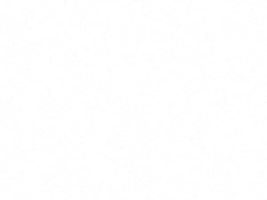 A4