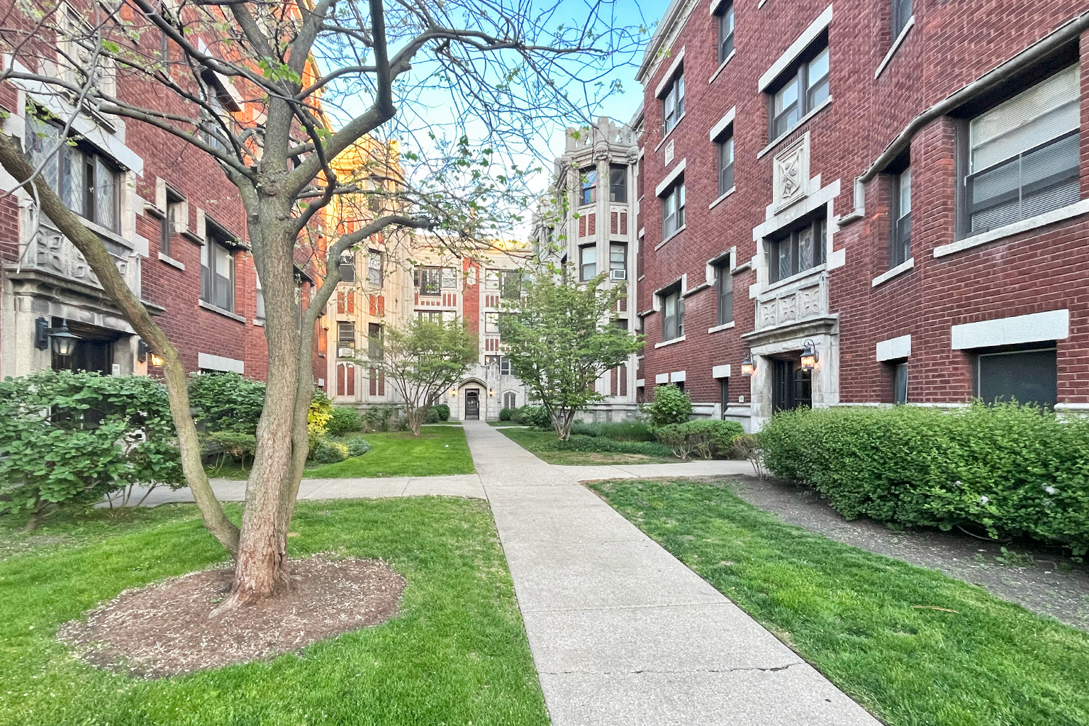 A tree in a circle of dirt stands in front of a brick building.