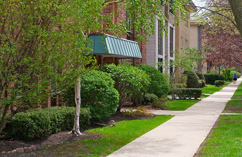 a sidewalk in front of a building with trees and bushes