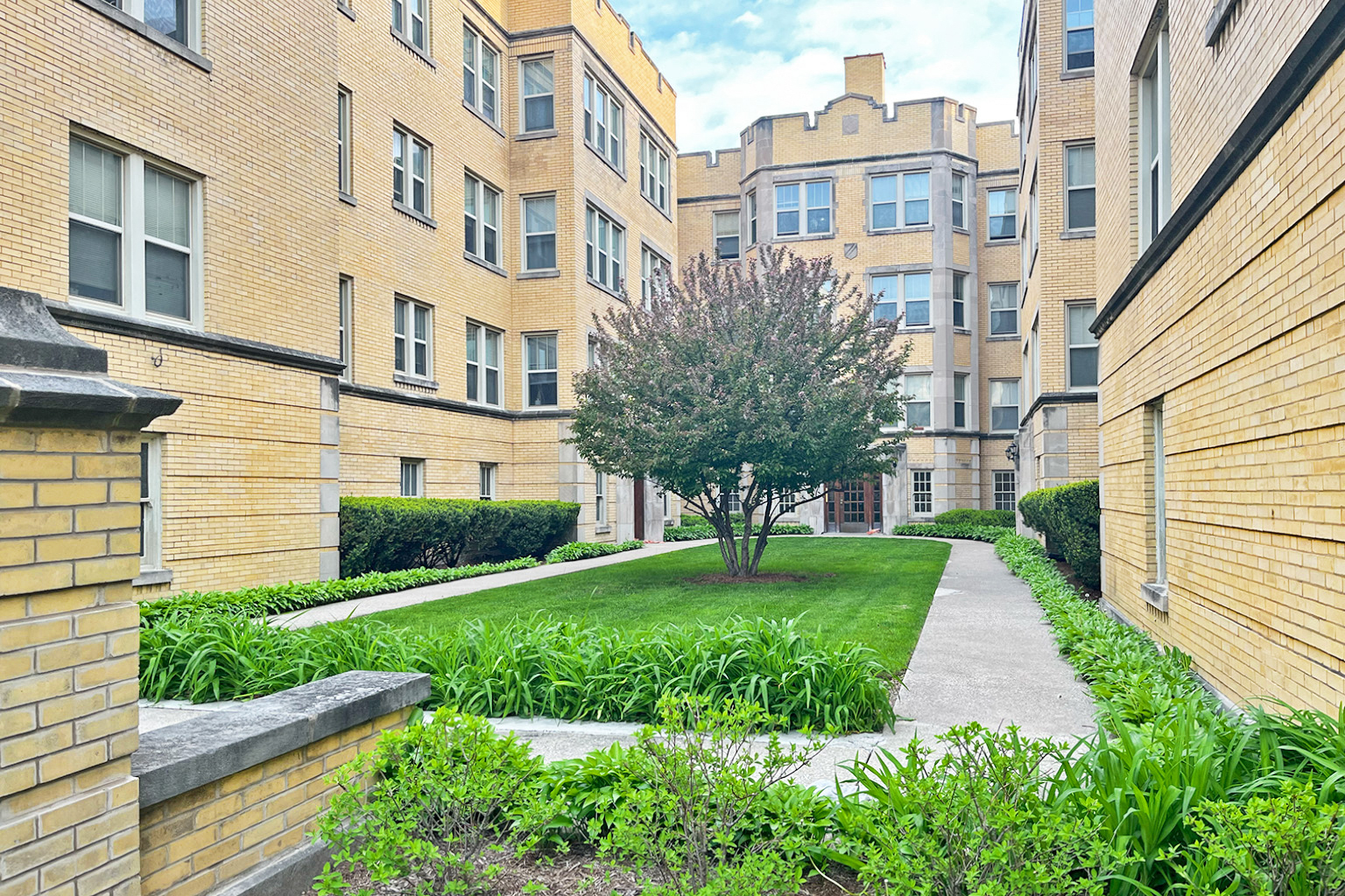 A tree in a courtyard surrounded by buildings.