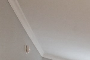 303C 301 N. Oak Park Ave. Studio-1 Bed Apartment for Rent - Photo Gallery