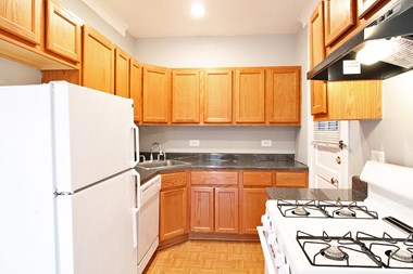 301 N. Oak Park Ave. Studio-1 Bed Apartment for Rent Photo Gallery 1