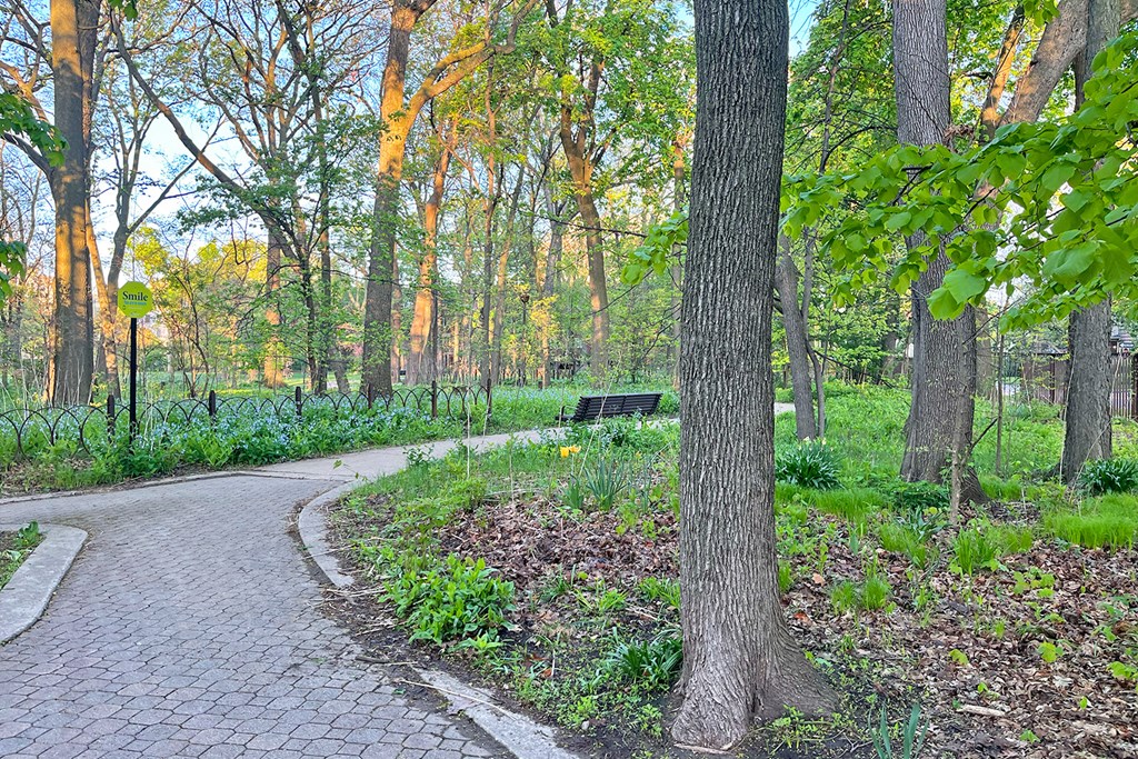 A curved brick pathway leads through a wooded area.