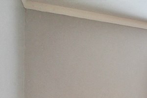 309N/S 301 N. Austin Blvd Studio-2 Beds Apartment for Rent - Photo Gallery 5